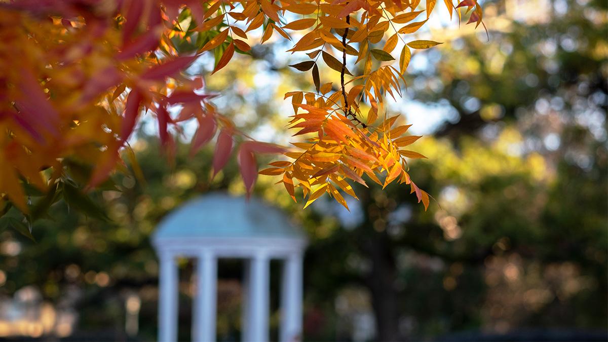 Fall leaves in front of Old Well